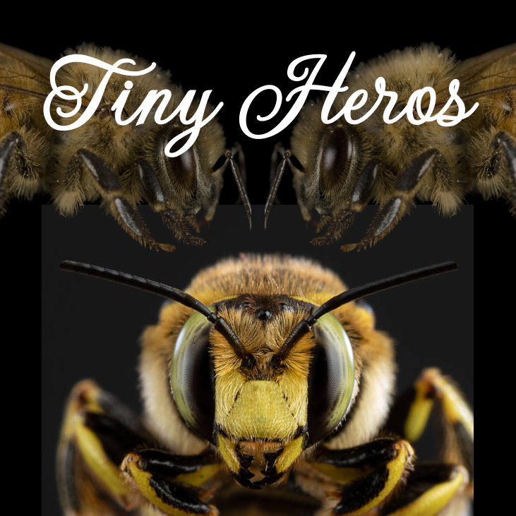 Tiny Heroes