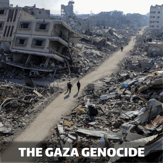 The Gaza Genocide