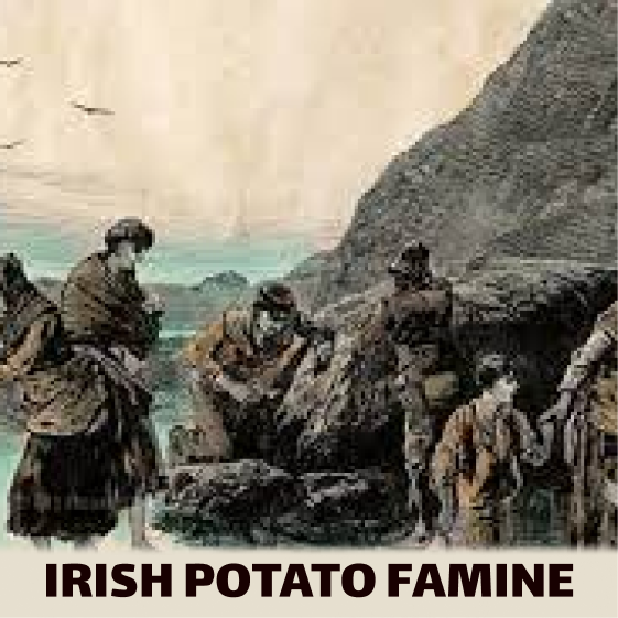 Irish Potato Famine