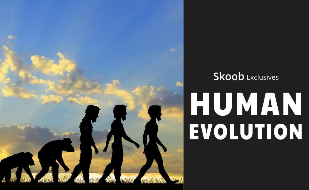 Human Evolution