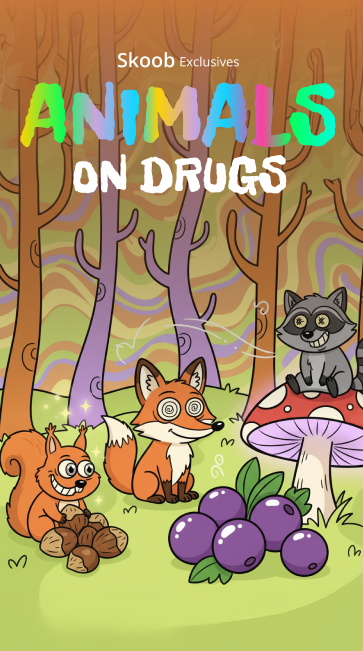 Animals on Drugs
