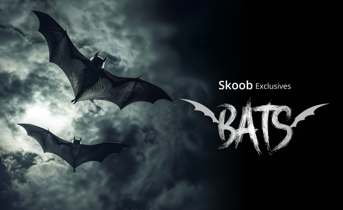 Bats