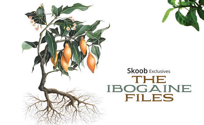 The Ibogaine Files