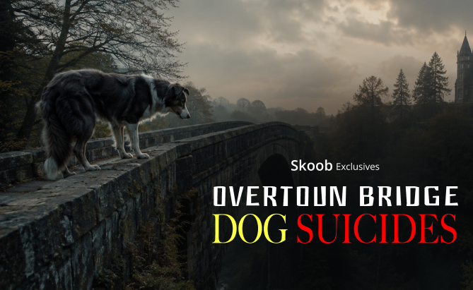Overtoun Dog Suicide Bridge