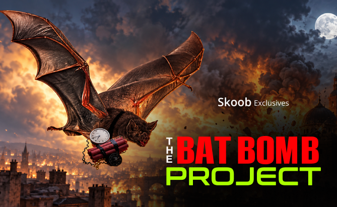 The Bat Bomb Project